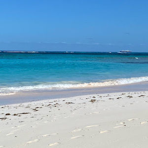 Meet your Posher, Elaine